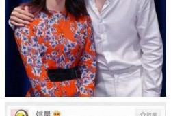 郑云龙和姚晨最新爆料,揭秘娱乐圈幕后真相