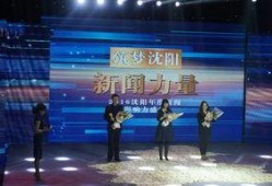 沈阳媒体爆料大全视频,揭秘城市热点事件与幕后真相